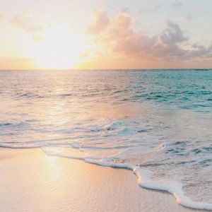 Meet your Posher, Ariaa